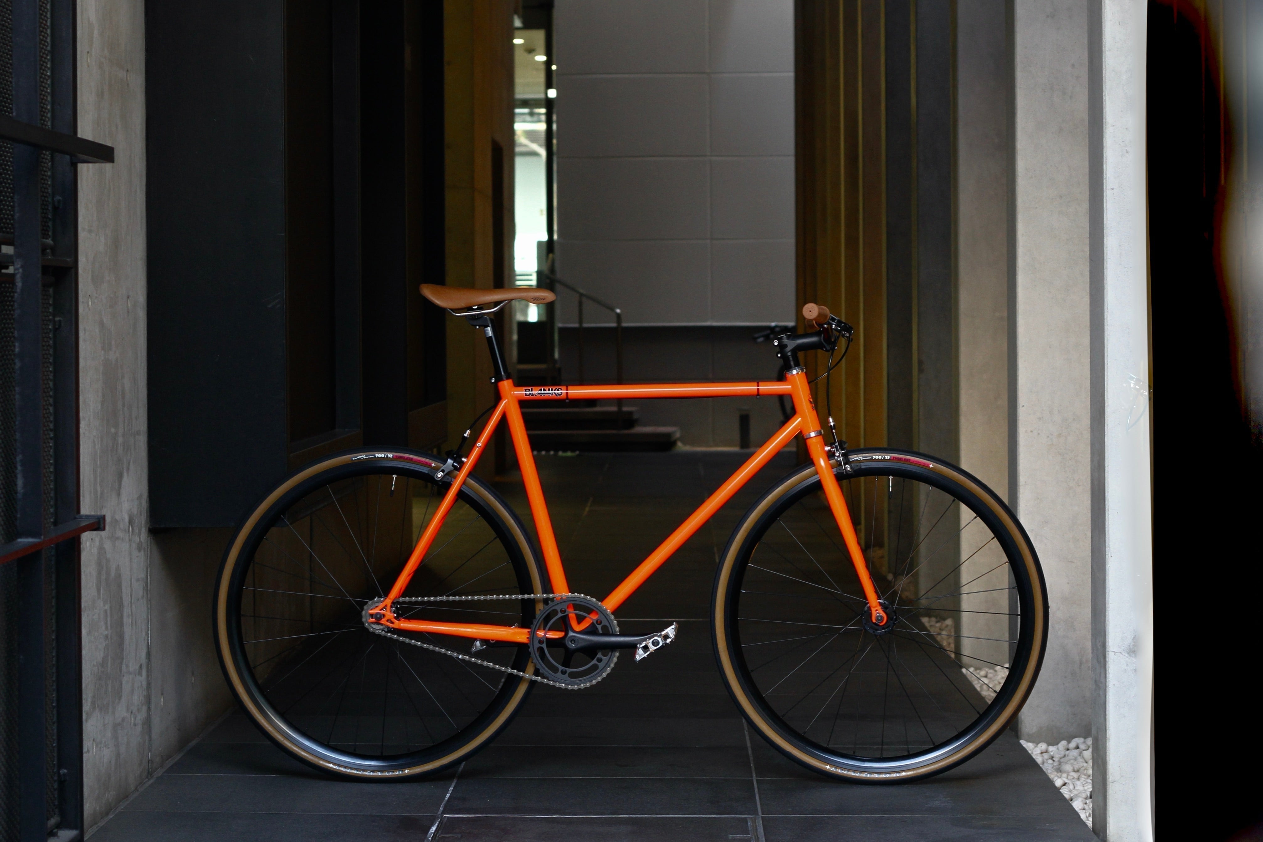 IMG_3682.jpg?v=1740650394