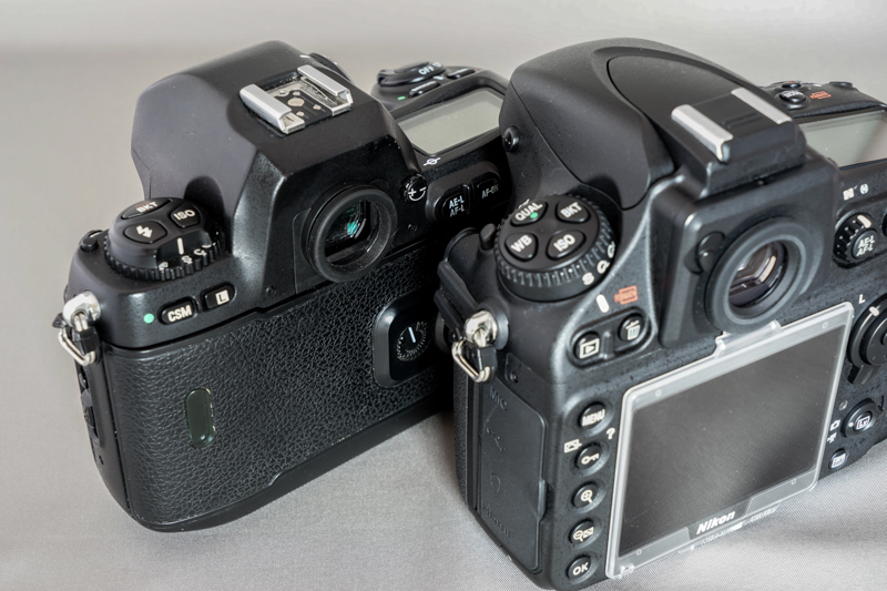 Nikon D800 ◇ 購入レビュー ◇ | デジタル試しうち