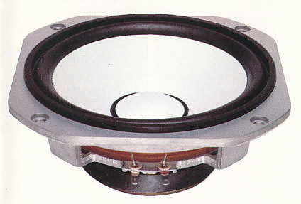 ns-100m-woofer.jpg