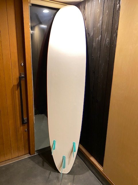 コストコの激安スポンジサーフボード【WAVE STORM】を買ってしまった