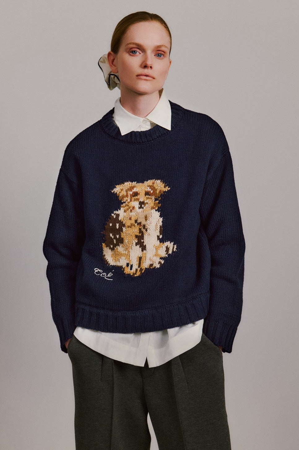 Schloss Dog Knit – THE TOÉ
