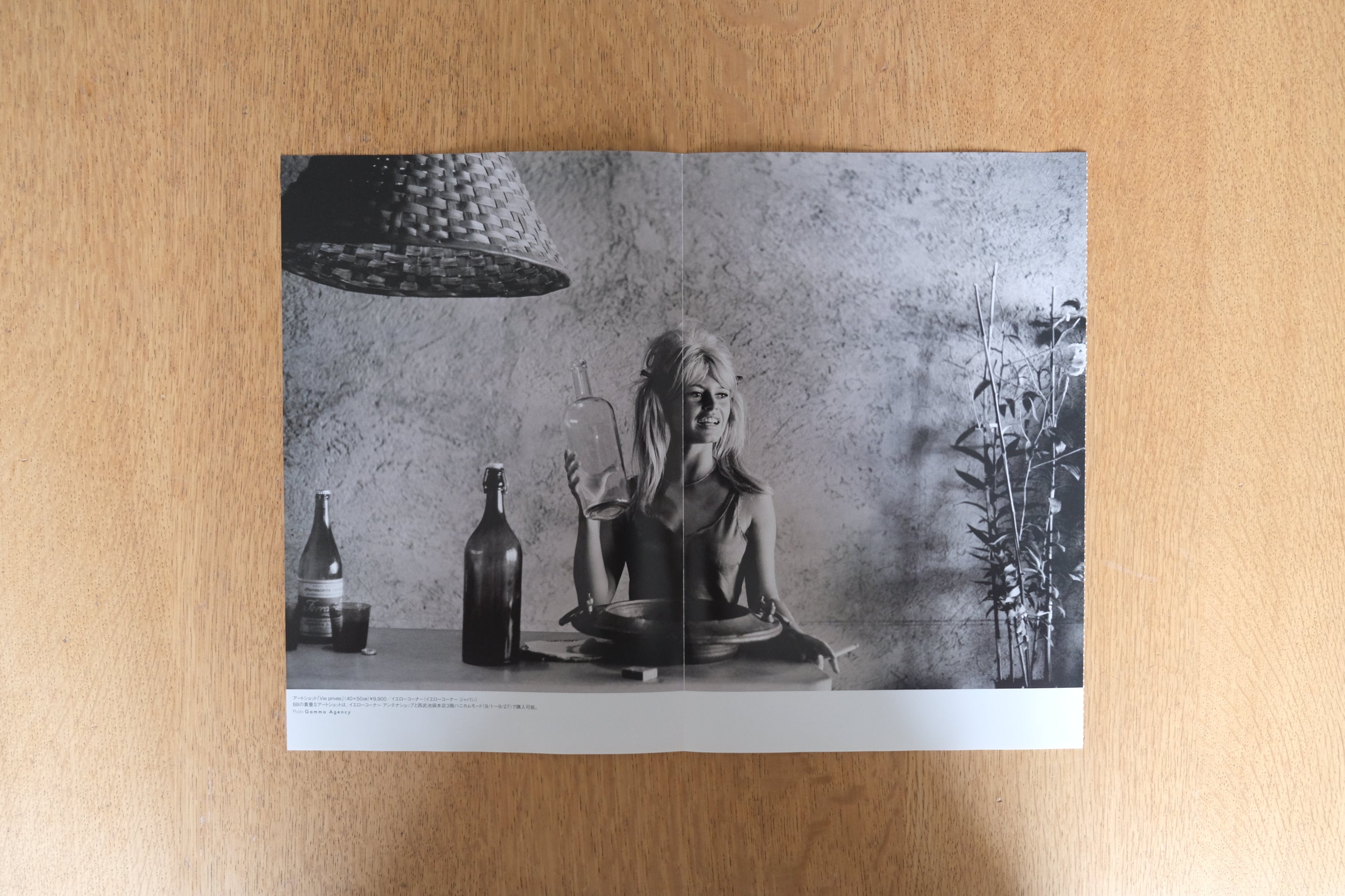 希少・ポスター】ブリジット・バルドー｜フレンチシネマの永遠のミューズ