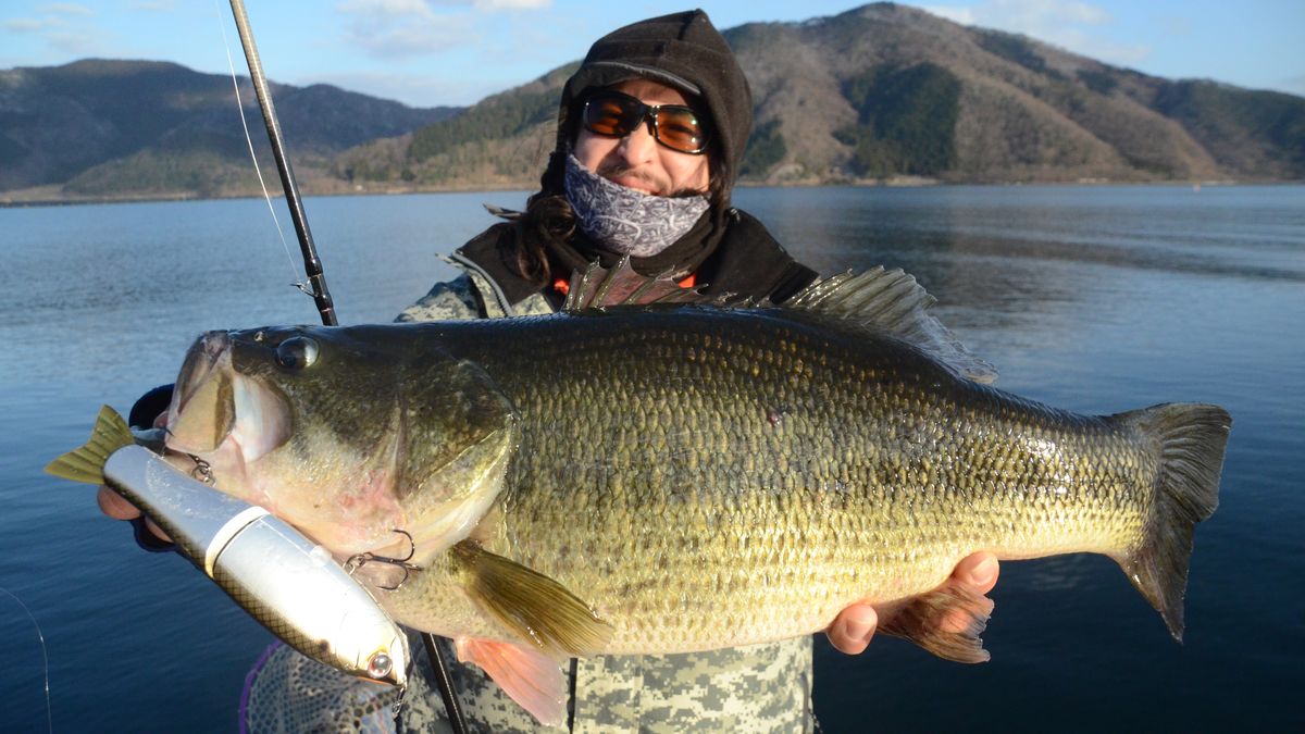 センドウタカシさんによるビッグベイト・インプレション29連発