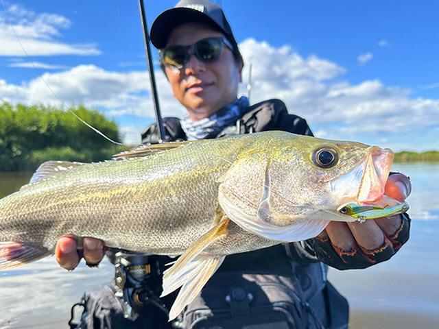 エバーグリーン アバンギャルド エースアタッカー96（ZAGS-96ML/M+