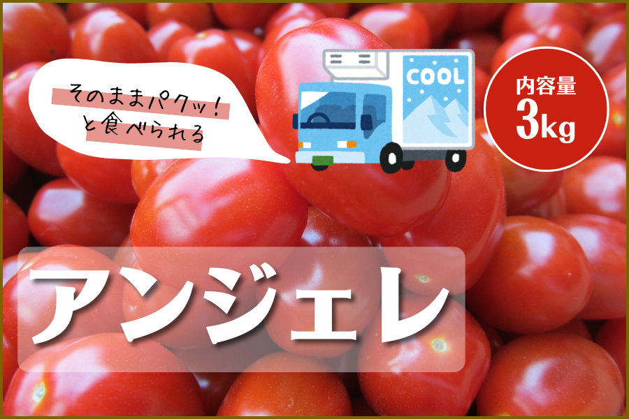 熊本県産ミニトマト「アンジェレ」3㎏箱【冷蔵便】: you+youくまもと