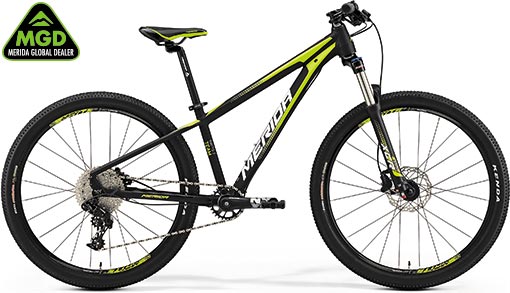 メリダ -MERIDA- | キッズ