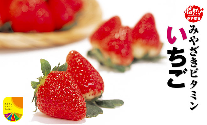みやざきブランド推進本部：みやざきフレッシュいちご