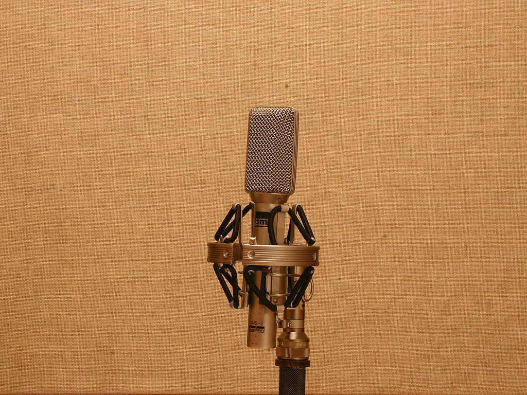 SES ] レンタル 機材 SANKEN CMS-2