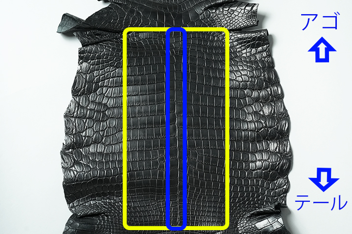 贅沢なクロコダイル製品の受注会について | WILDSWANS(ワイルド