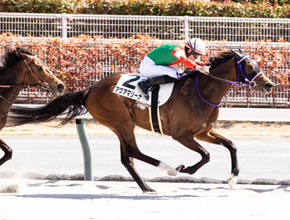 ユニオン・オーナーズ・クラブ UNION OWNERS CLUB