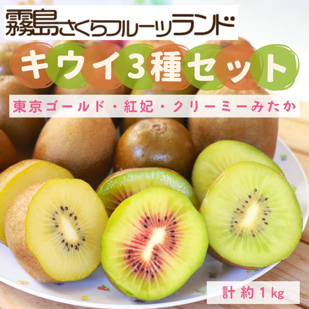 キウイ様2点 キウイ様2点 2種のキウイの酸味と甘さでスッキリ飲み