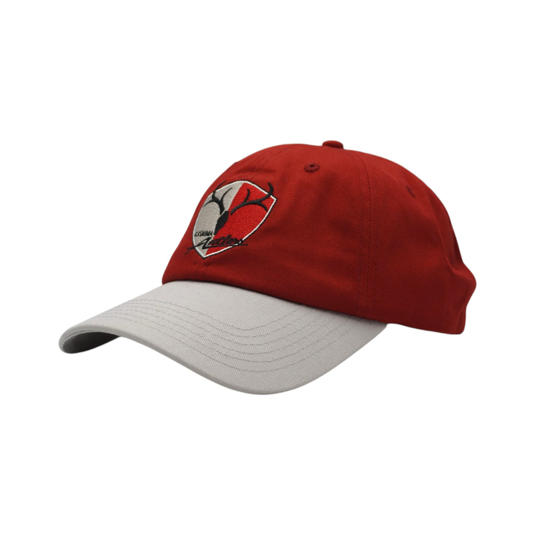 カーブドキャップ（エンブレム）全2色 – 鹿島アントラーズFC - 公式