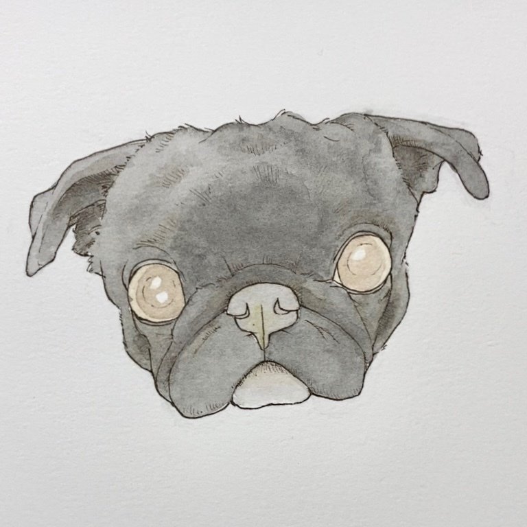 今日のイラスト #016｜ms. colorfreak