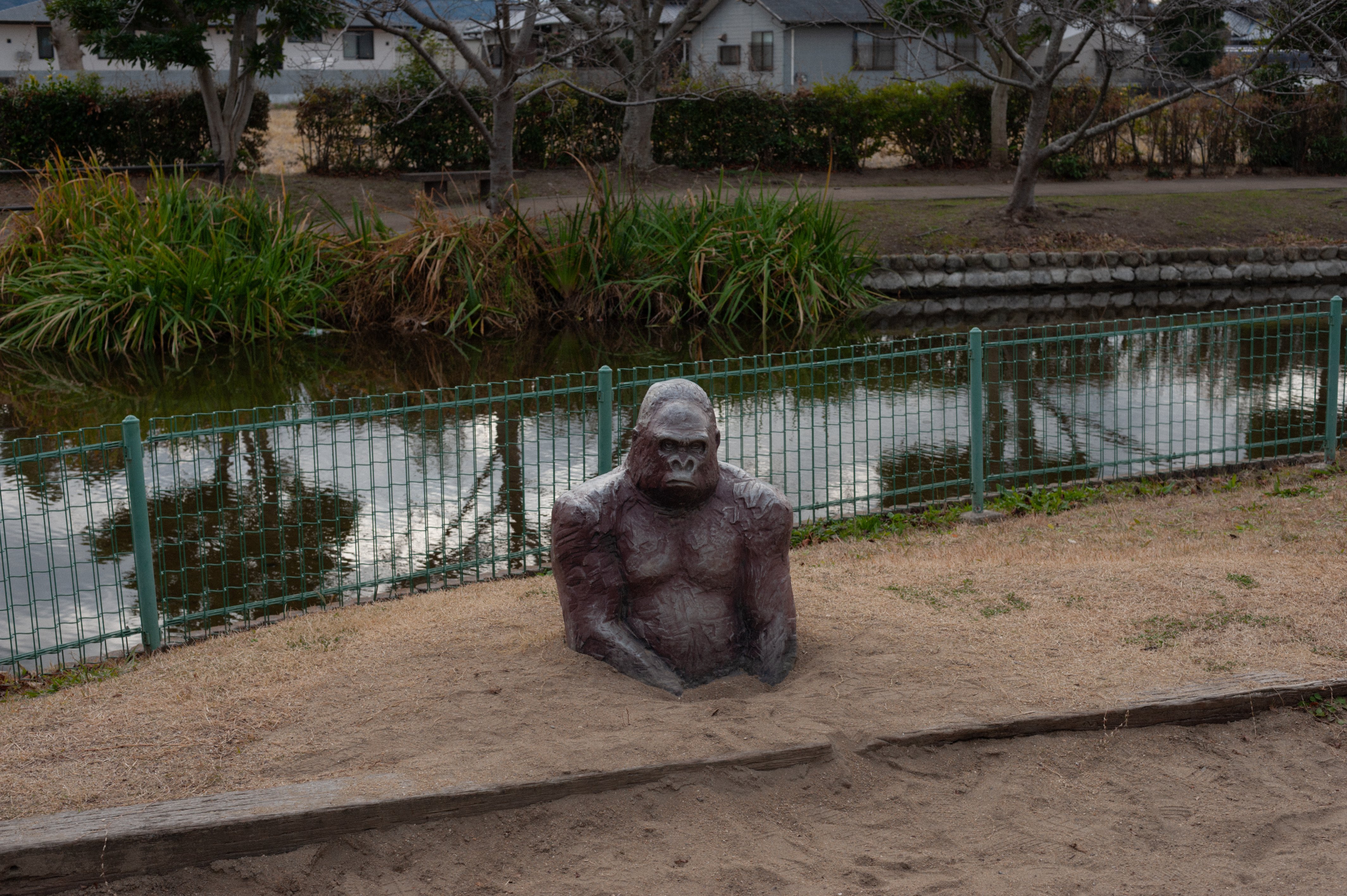 公園に埋まっているゴリラ｜torutabitabi