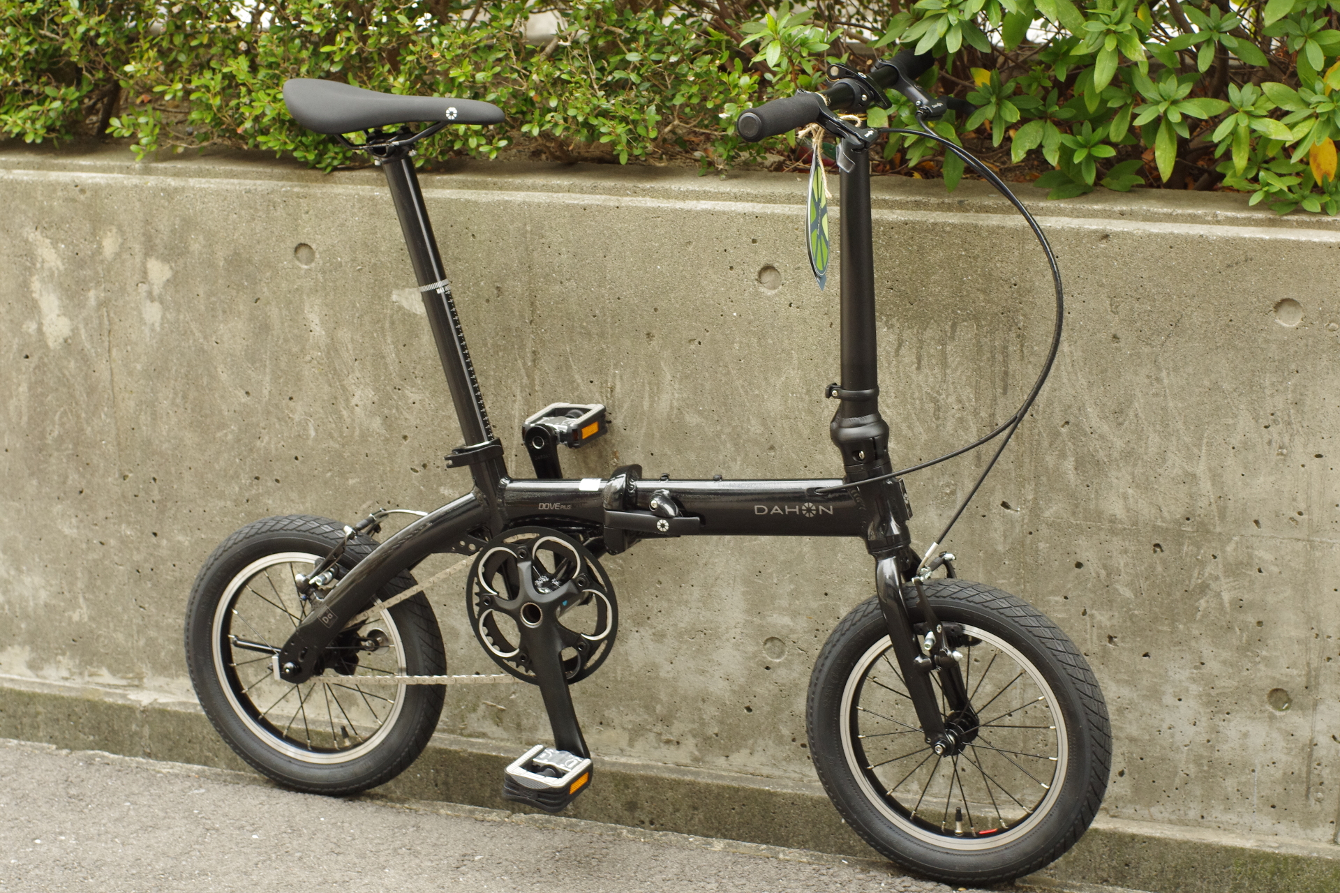 DAHON Dove Plus 限定モデル 入荷いたしました。 – Bici Termini