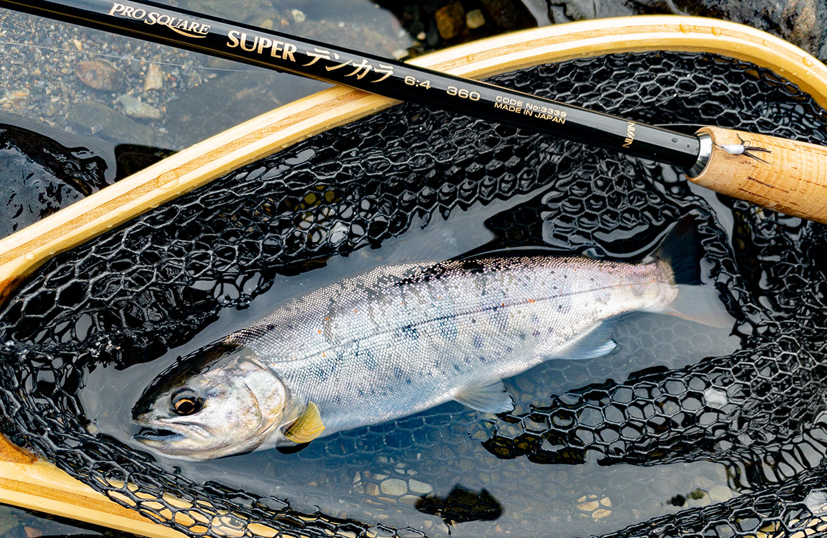 宇崎日新 PRO SQUARE スーパーテンカラ - 6:4調子と7:3調子の違い