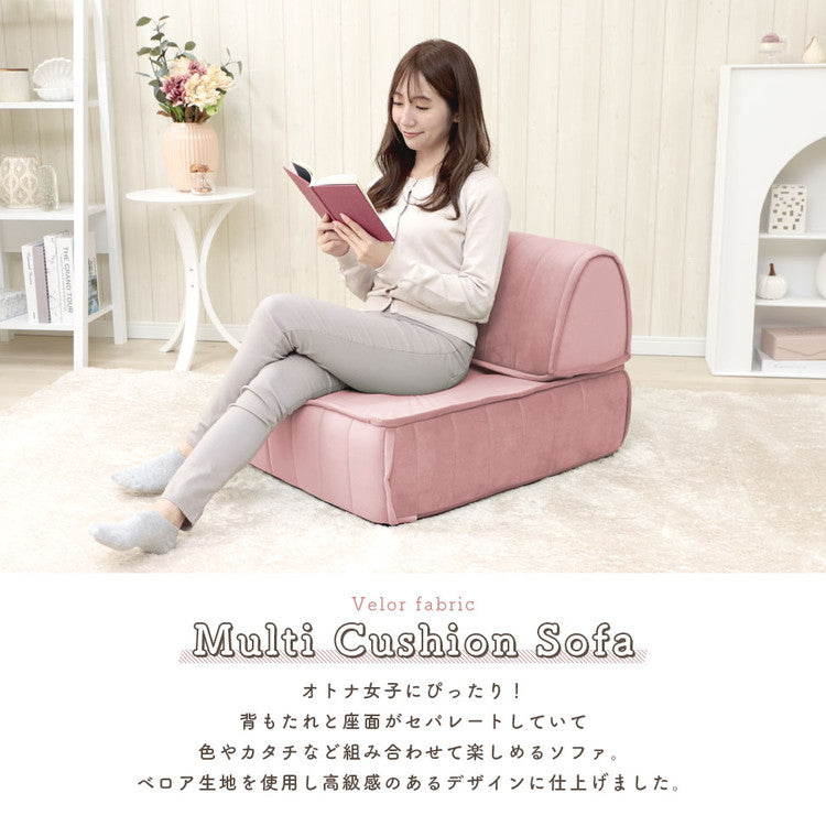 5196【程度良好】Bella Armonia 4/4 セミハードケース 【公式通販】