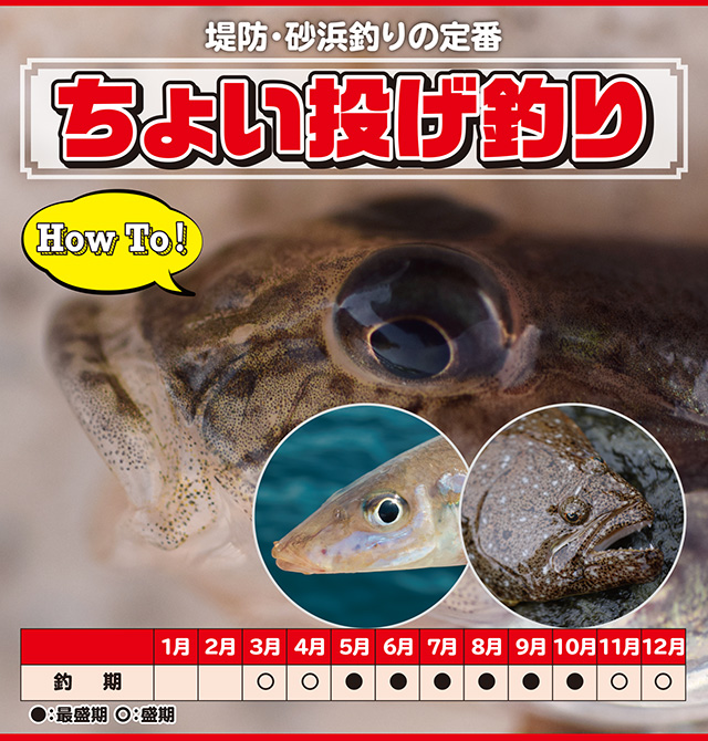 ハゼ・キス・ヒラメ】ちょい投げ - HOW TO [釣具のキャスティング]
