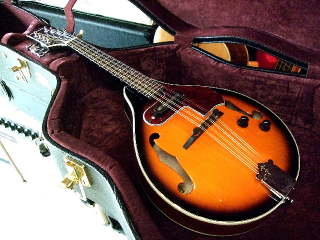 Aria AM-20E ElectricMandolin ハードケース付き 【マイク搭載!!アンプ