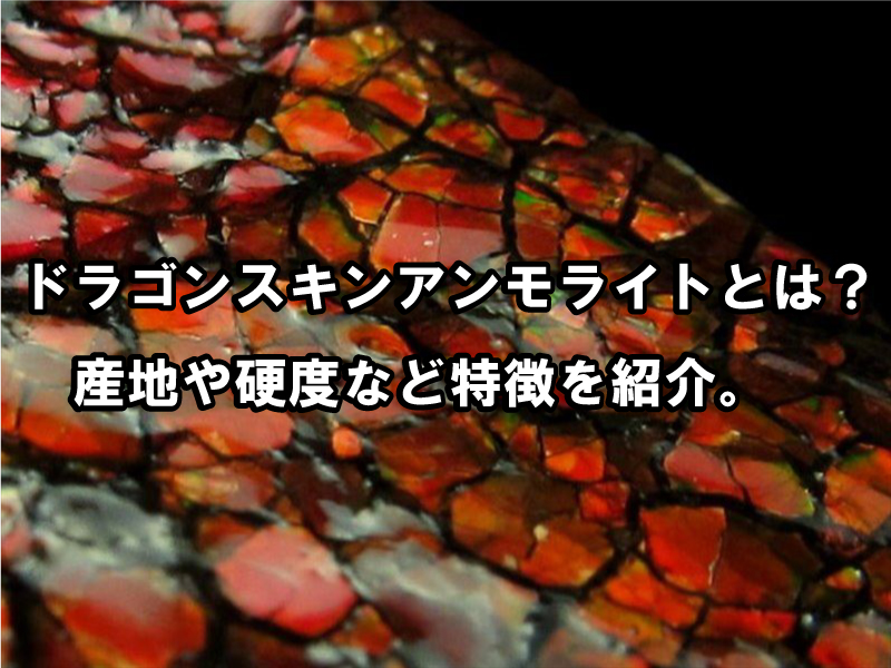 ドラゴンスキンアンモライトとは？産地・硬度と天然石の特徴