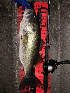 deps ヒュージカスタム H2S-75RFの最安値・インプレ・釣果 | 本音の