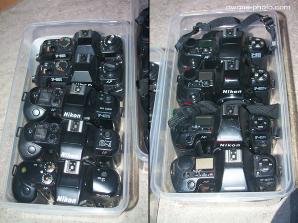 Nikon F-601Mがやってきた ニコン「F三桁シリーズ」コンプリート