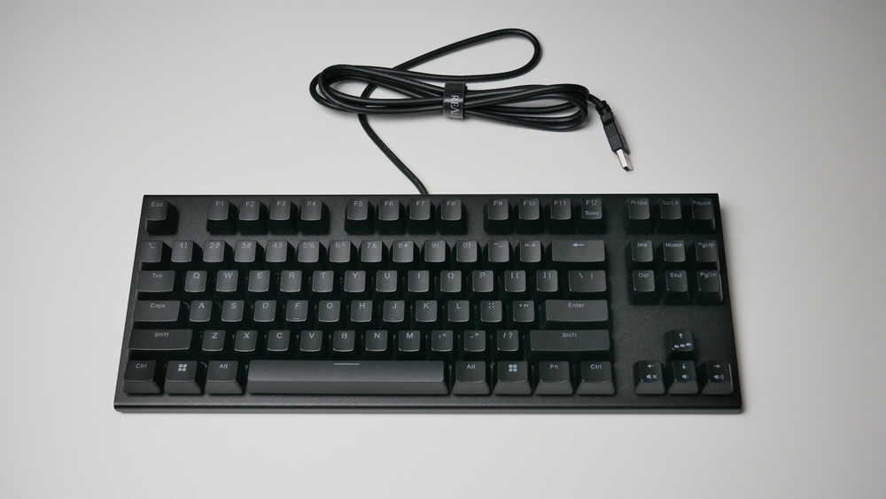 REALFORCE GX1 レビュー – DPQP