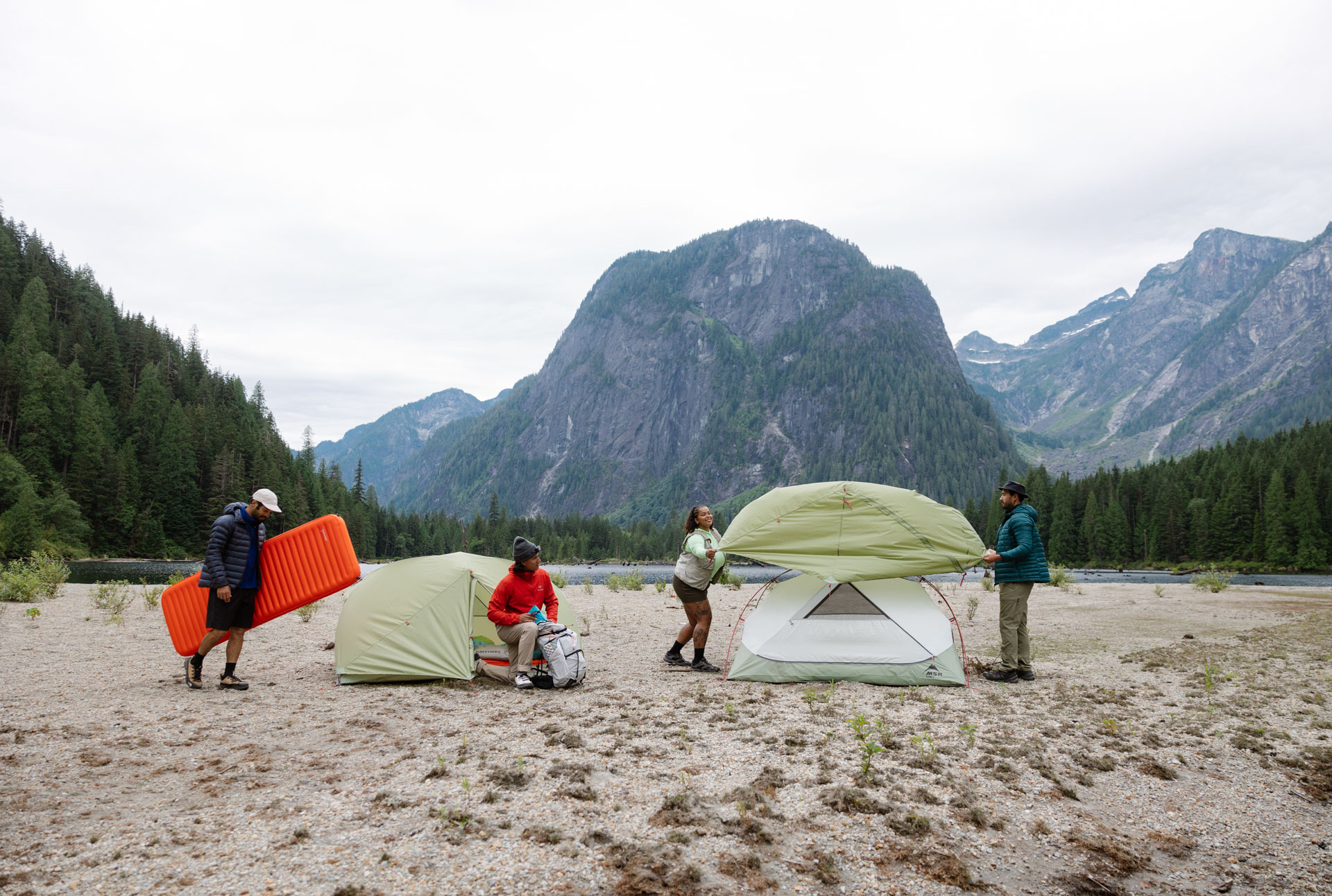 エリクサー｜MSR