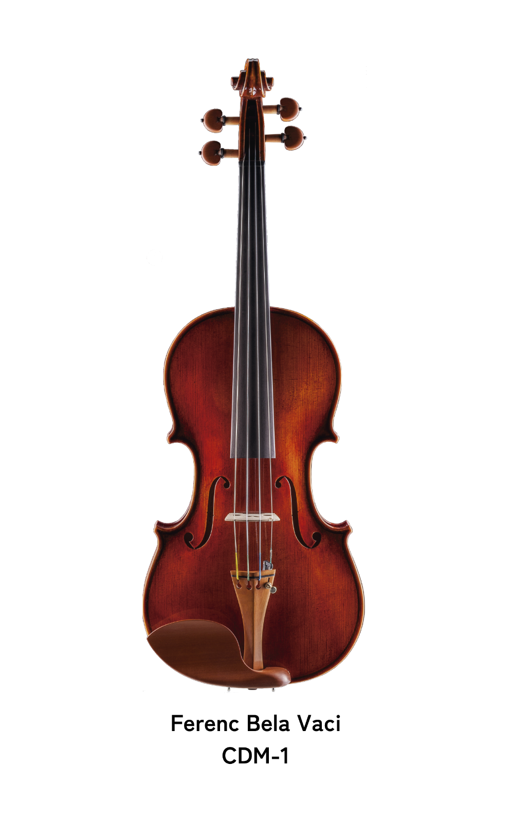 フェレンツ・ベラ・バーツィ - 弦楽器（バイオリン・ビオラ・チェロ