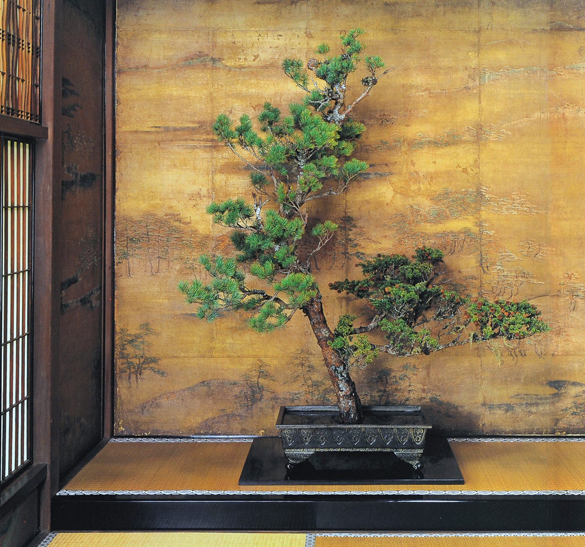 江戸の粋を伝える古流の「生花（せいか）」｜9月 家元のいけばな