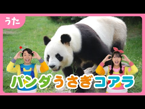 パンダうさぎコアラ（振り付き）〜♪おいで おいで おいで おいで