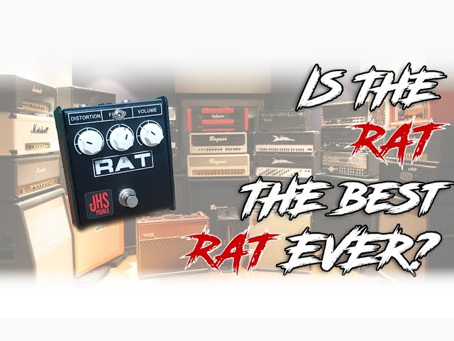 re-demos] ProCo RAT 2 (JHS Pack Rat Mod) Gilmour sound review