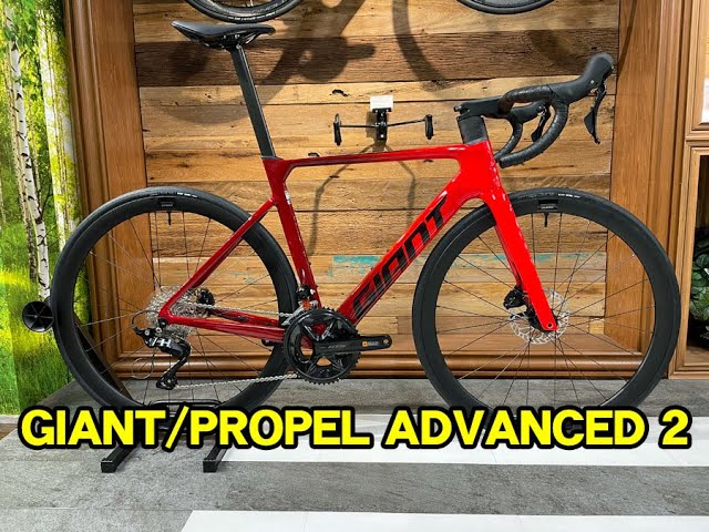 2024 GIANT（ジャイアント） PROPEL ADVANCED 2（プロペルアドバンスド
