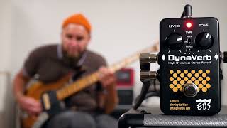 EBS ( イービーエス ) DynaVerb Limited Edition 送料無料 | サウンド