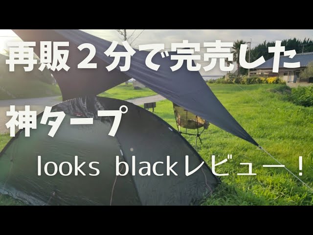 神タープ、teloのlooksblackを購入しましたので簡単レビュー(ワン