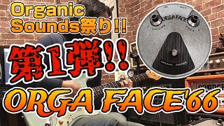 唯一無二のファズ】やるぞ！！Organic Sounds祭り！！今回はORGA FACE