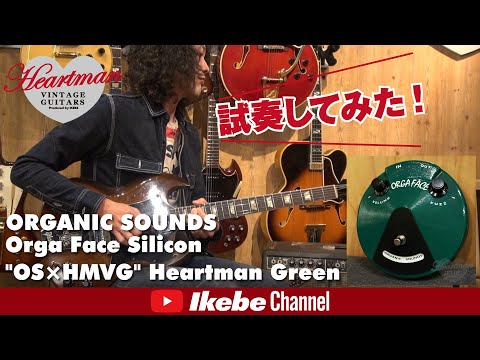試奏してみた！】ORGANIC SOUNDS Orga Face Germanium 