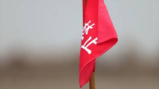 TABLET-REDUX|PLACEBO