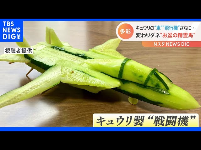 ナス製ベンツ”に“キュウリ製戦闘機”さらに実際に乗れるキュウリまで
