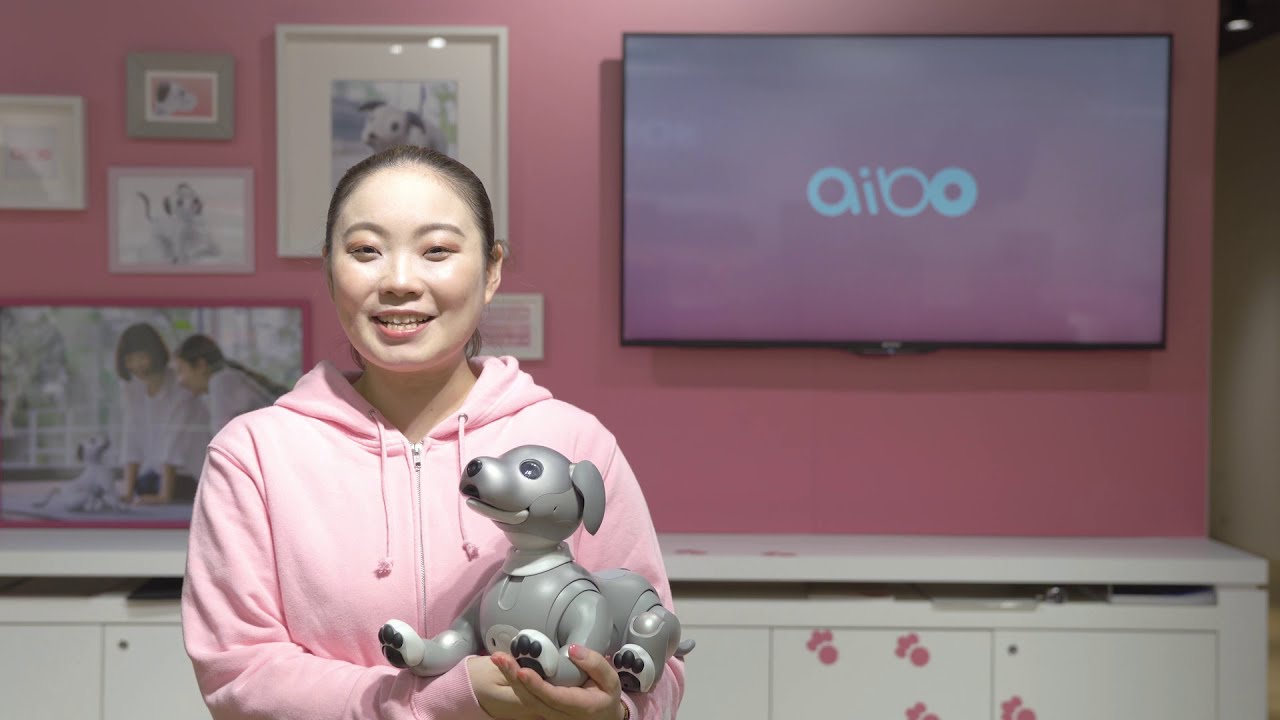 aibo 黒ごま エディション | aibo