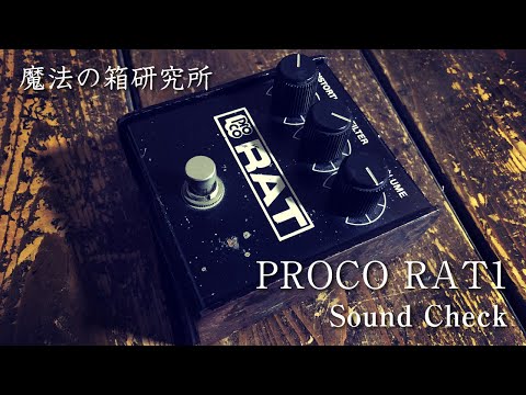 PROCO RAT1 1988年製 Sound Review【魔法の箱研究所】 - YouTube