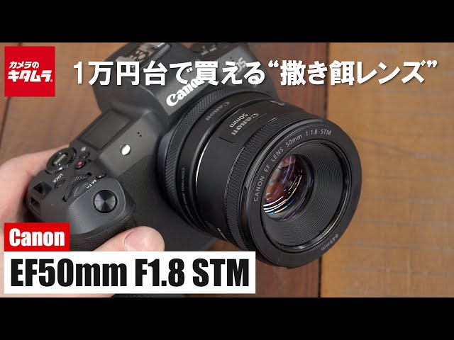Popular Lens] Canon EF50mm F1.8 STM - Using this large-aperture