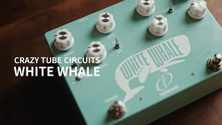 Quantaエフェクト・ラボ】