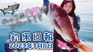 伊勢湾船釣り【のっこみ真鯛】2023年3月釣果日報 - YouTube