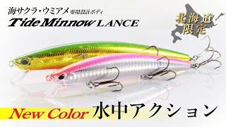 新色紹介] Tide Minnow LANCE 120/140 ー水中アクションー - YouTube