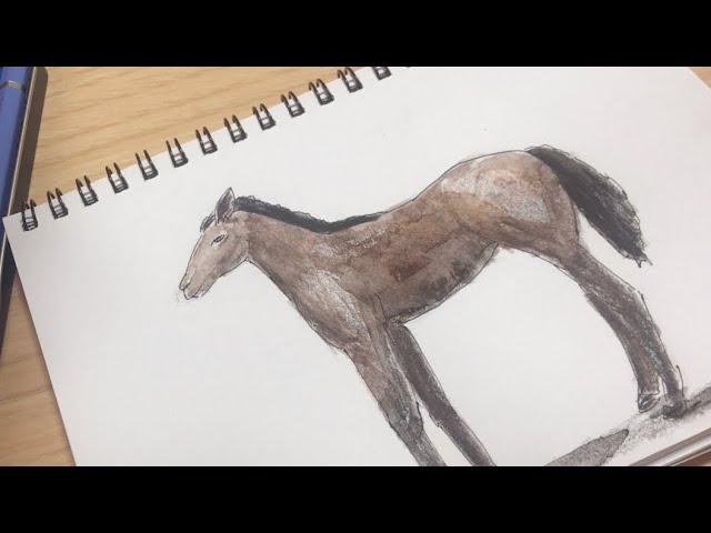 色鉛筆画 リバティアイランド 原画 手描き アナログ イラスト No.57 馬