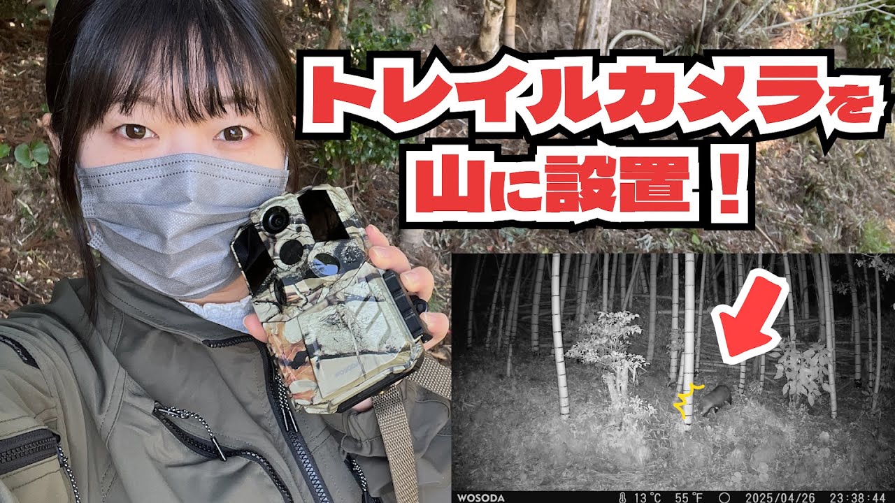 I set up a trail camera to see what animals I could see! [WOSODA