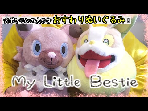 ポケモンセンター】いつもと違ったふわふわ感が気持ちいい！！イワンコ