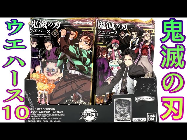 Finally! Kokushibo is in the lineup! Demon Slayer Wafer 10 - All