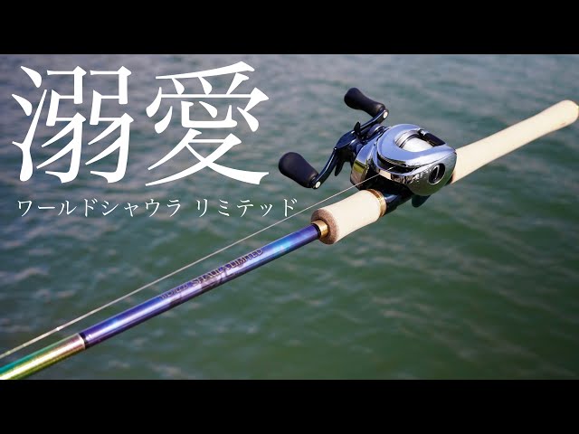 ワーシャ1703を愛し過ぎた男のワールドシャウラリミテッド1703-2R